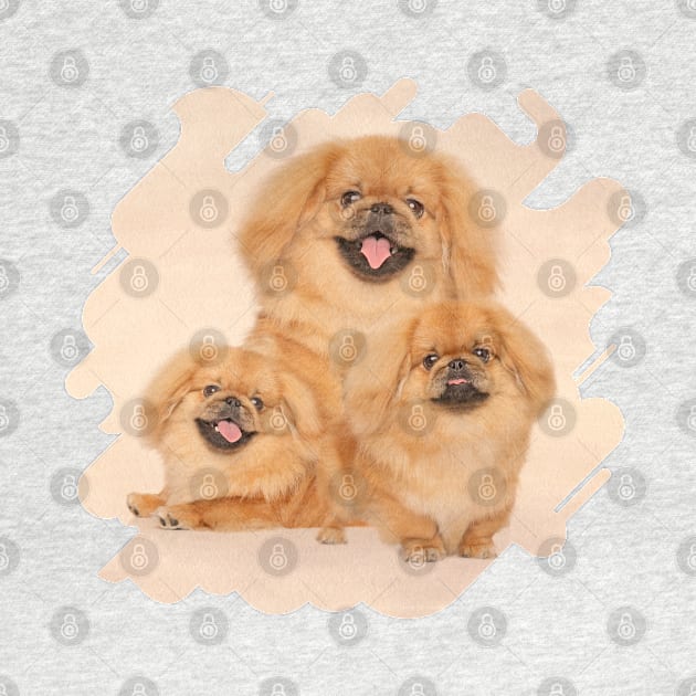 Pekingese dogs collage by Nartissima